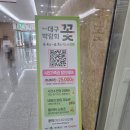 [어머니와 함께 대구여행] 엑스코에서 열린 제17회 대구꽃박람회, 첫째날 방문 후기
