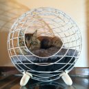 고양이집 이미지