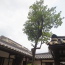 안국역(3) 이미지