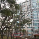 한빛중앙약국 이미지