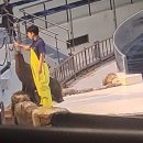 한화아쿠아플라넷 | 제주 한화 아쿠아플라넷 아레나 공연 관람 후기 가볼만한 곳 추천