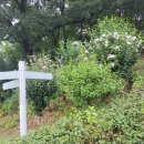 두레봉공원 이미지