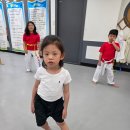 문무태권도체육관 이미지