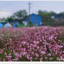 도담정원 이미지