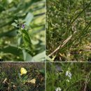 항구목장 이미지