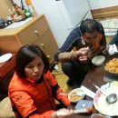 달마농장 Daum카페