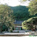 사나사 - 1160 | 사나사