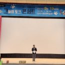 디어베어켄넬 이미지