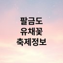 2025년 팔금 섬 유채꽃축제 | "팔금 섬 유채꽃축제 2025: 봄을 만끽할 유채꽃의 바다"