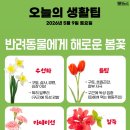 오늘의 생활 팁 - 반려동물에게 해로운 봄꽃 이미지