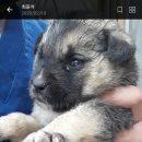 묘산면사무소 이미지