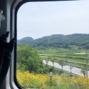 CU 주문진항 | June 9th 강릉 1박2일 여행 #1 :: 스카이베이호텔 / 경포해변 / 주문진항샵20