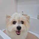 나봄스파 이미지