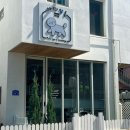 아찌살롱 이미지