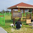 요천생태습지공원 애견놀이터 이미지