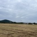 제주월드컵경기장 관광안내소 이미지