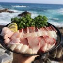 주문진 방파제회센타 이미지