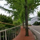 봉곡동042 이미지