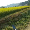 태웅농장 이미지