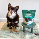 초록푸드 | 강아지간식 트러스티푸드 가니쉬 초록입홍합 동결건조 내돈내산 후기