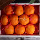 웅이네 농장 이미지