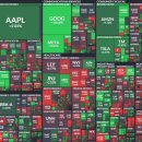 (주)바바펫 이미지