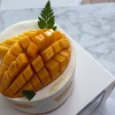파리바게뜨상인 - 달서구 상인서로 85 | 창원 망고케이크 맛집 <소안> 기념일 케이크 추천 및 가격
