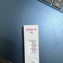 전일문내과의원 | 코로나 확진 자가격리 후기