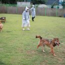 멍나들이 이미지