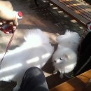 일우농장 이미지