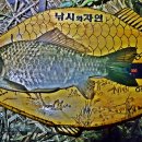 황촌리 Daum카페