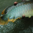 청용농장 이미지