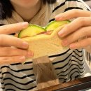 당나귀호스텔 이미지