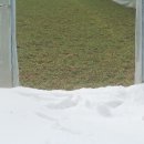 신선농원 이미지