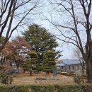 서울시립대학교 박물관 이미지