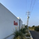 코크(Koch) | 제주 구좌 평대리 신상 숙소 [코크]