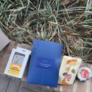 한진밧데리 | 에이티즈 Adrenaline 사녹 후기