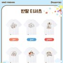 미즈콜랙션