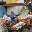 저도마을3 이미지