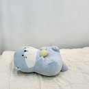 영통 속눈썹펌 아이콩 추천, 자극 적고 지속력 최고