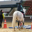 2020-주139 이미지