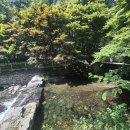 성주산자연휴양림 | 보령 계곡 성주산자연휴양림 화장골계곡 물놀이장 야영장 후기