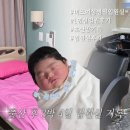 미즈여성병원 | 대전 탄방 미즈여성병원 입원실 후기 ｜ 1인실 내부 시설 &amp; 보호자 숙면 팁