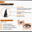 리얼라이너 이미지