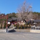서천향교 Daum카페