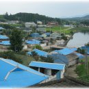 나의살던고향은 이미지