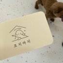 코지아지 이미지