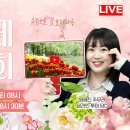 고양국제꽃박람회 인생사진 남기고 선물도 받자! 이미지