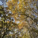 210028 | 🎵 중국 난징 여행 남경 음악대 + 미령궁 방문기 | 자연과 역사를 알아가는 힐링 코스