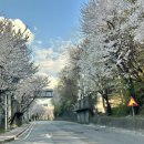 일산북쪽화장실 이미지